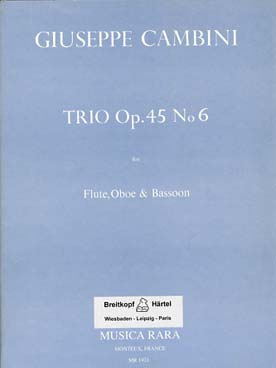 Illustration de Trio op. 45 N° 6 pour flûte, hautbois et basson