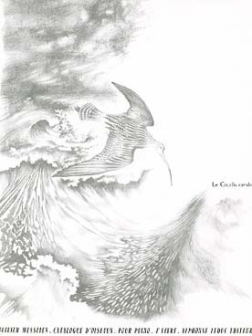 Illustration de Catalogue d'oiseaux - 7e Livre : La Buse variable - Le Traquet rieur - Le Courlis cendré
