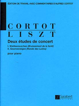 Illustration de 2 Études de concert (Cortot) Bruissements de la forêt, ronde des lutins