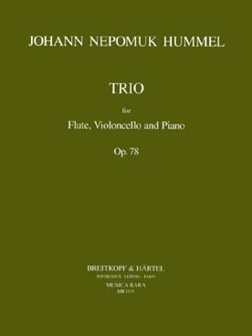 Illustration hummel trio op. 78