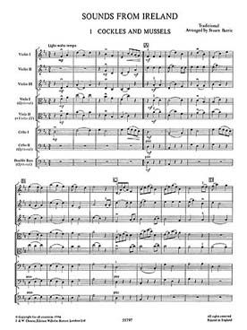 Illustration de PLAYSTRINGS : musique pour orchestre de jeunes instrumentistes à cordes Facile 12 : BARRIE Sounds from Ireland - Conducteur