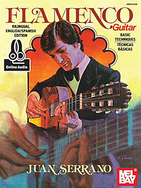Illustration serrano flamenco guitar basic tech.