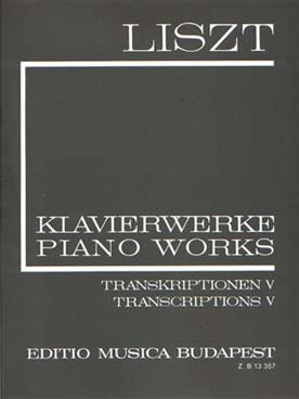 Illustration liszt transcriptions vol. 20 (broche)