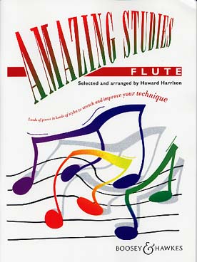 Illustration amazing studies flute