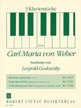 Illustration de Perpetuum mobile (mouvement perpétuel) de la sonate op. 24