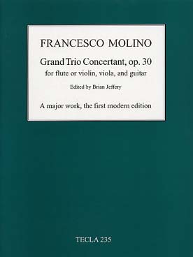 Illustration molino grand trio concertant op. 30 broc