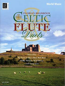 Illustration celtic flute duets