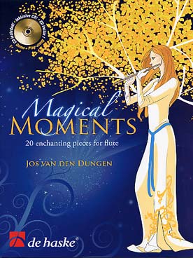 Illustration van den dungen magical moments flute