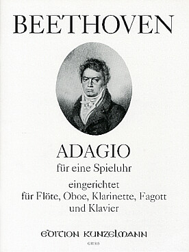 Illustration beethoven adagio fur ein spieluhr