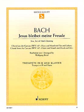 Illustration bach js jesus que ma joie demeure