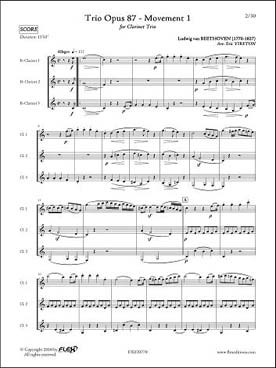 Illustration beethoven trio op. 87 (tr. vireton)