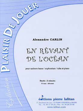 Illustration carlin en revant de l'ocean