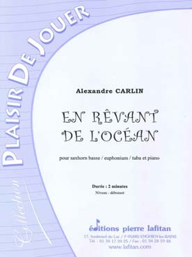 Illustration carlin en revant de l'ocean