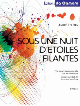 Illustration telman sous une nuit d'etoiles filantes