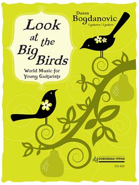 Illustration bogdanovic look at the big birds