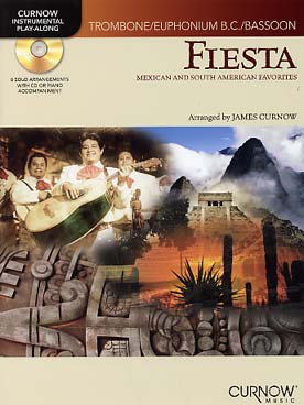 Illustration fiesta avec cd