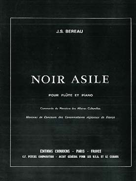 Illustration bereau noir asile