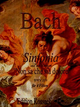 Illustration bach js non sa che sia dolore bwv 219