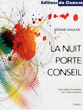 Illustration naulais nuit porte conseil (la)