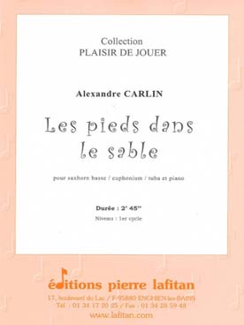 Illustration carlin pieds dans le sable (les)