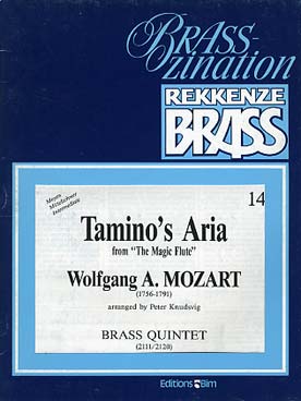 Illustration mozart tamino's aria