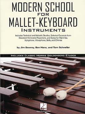 Illustration goldenberg modern school mallet-keyboard