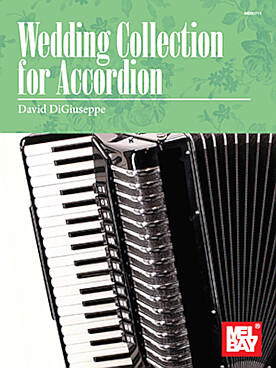 Illustration wedding collection for accordion