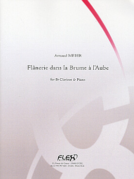 Illustration meier flanerie dans la brume a l'aube