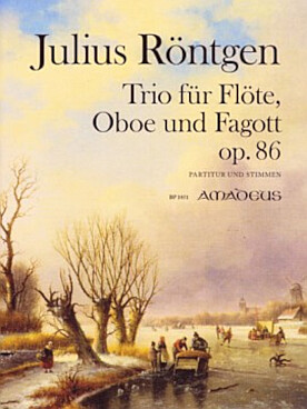 Illustration rontgen trio op. 86