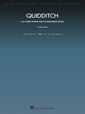 Illustration de Quidditch ext. de Harry Potter à l'école des sorciers