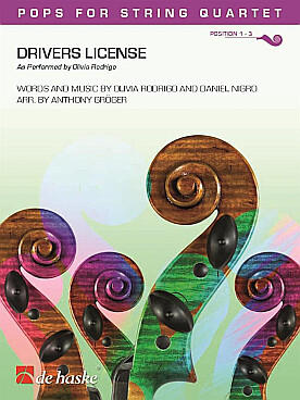 Illustration rodrigo drivers license