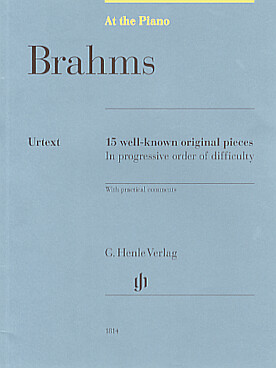 Illustration brahms at the piano