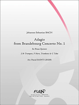 Illustration bach js adagio concerto brandebourg. n°1