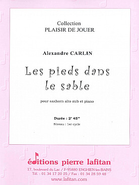 Illustration carlin pieds dans le sable (les)