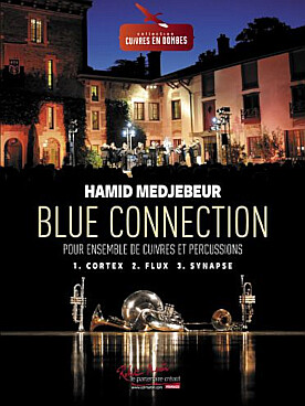 Illustration medjebeur blue connection