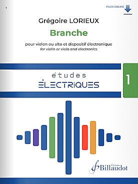 Illustration de Branche : études électriques pour violon et dispositif électronique